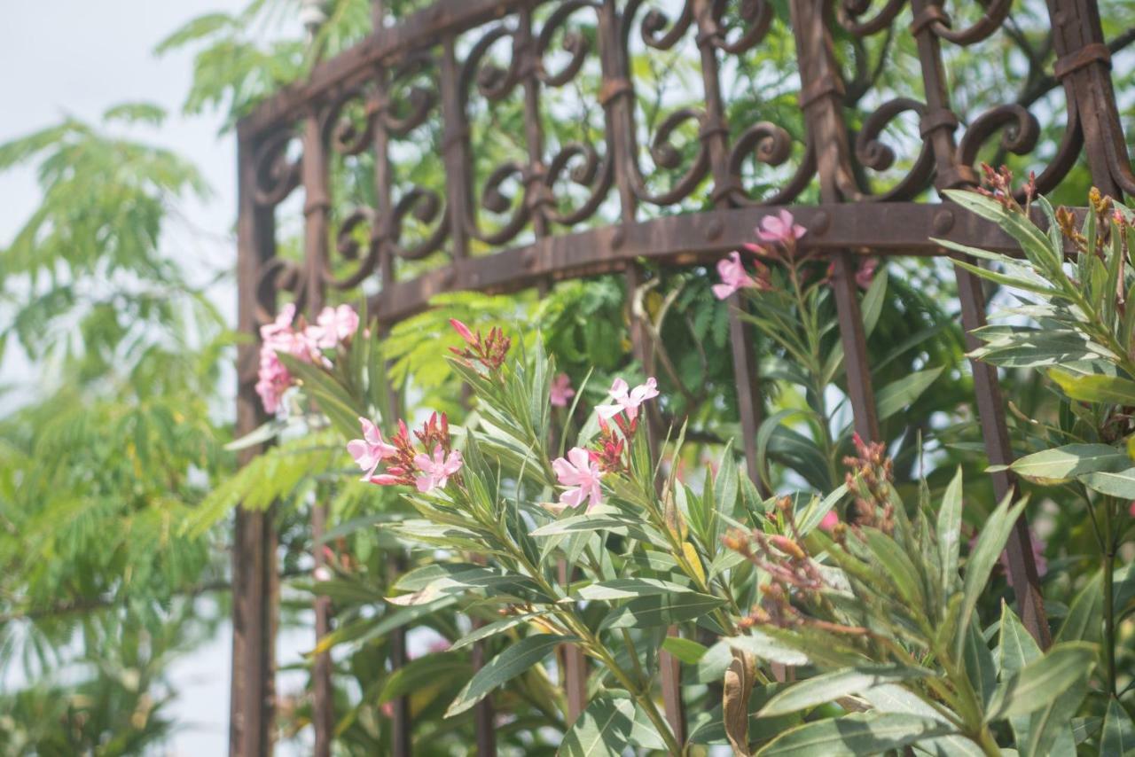 Vinauberge Poilhes Eksteriør bilde